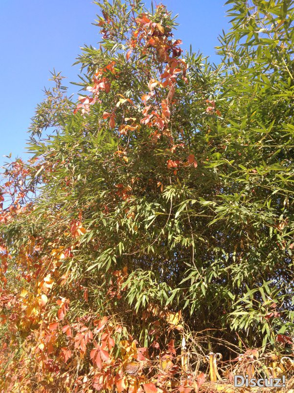 IMG_20181031_125847.jpg