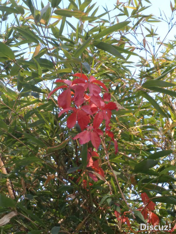 IMG_20181031_125718.jpg