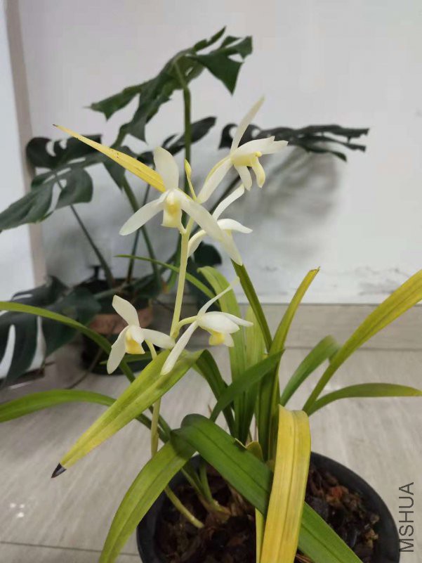 ΢��ͼƬ_20181107104339.jpg