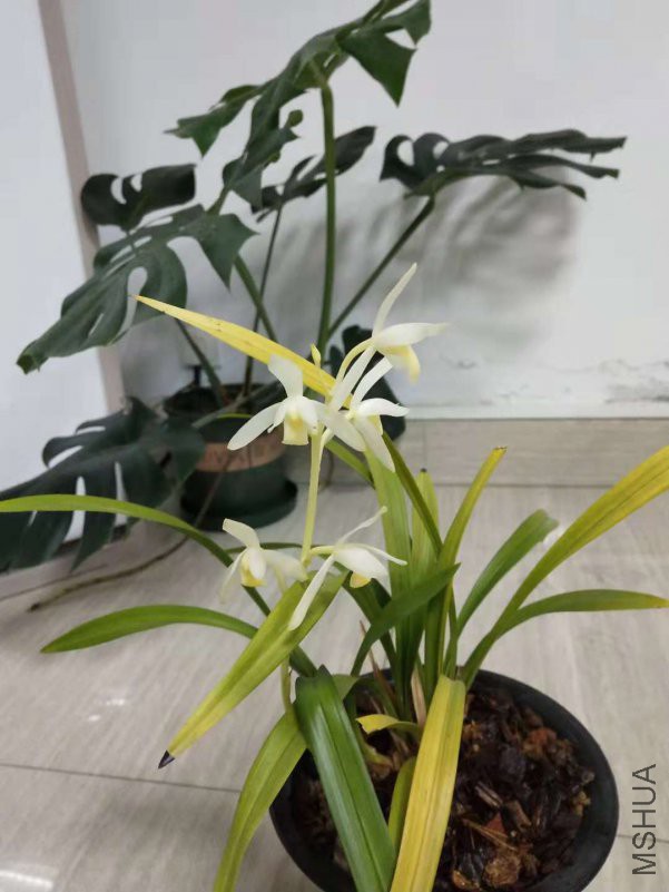 ΢��ͼƬ_20181107104331.jpg