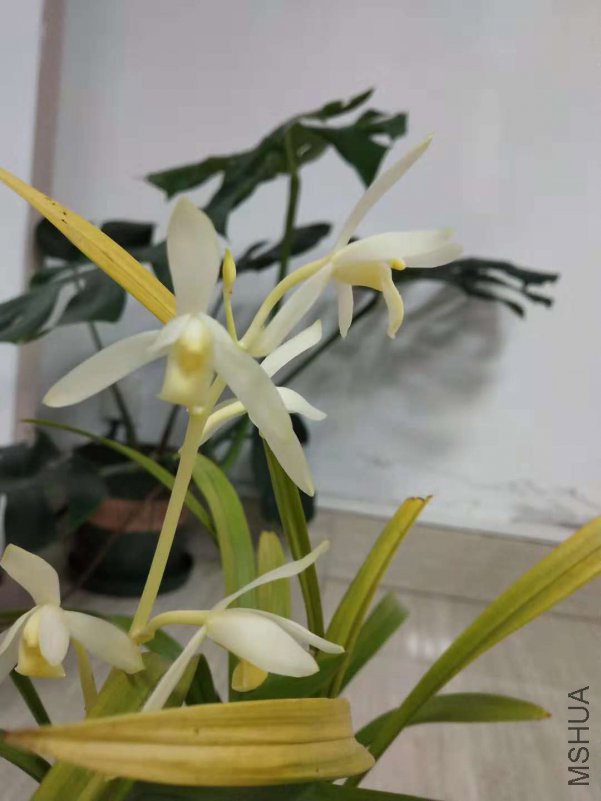 ΢��ͼƬ_20181107104321.jpg