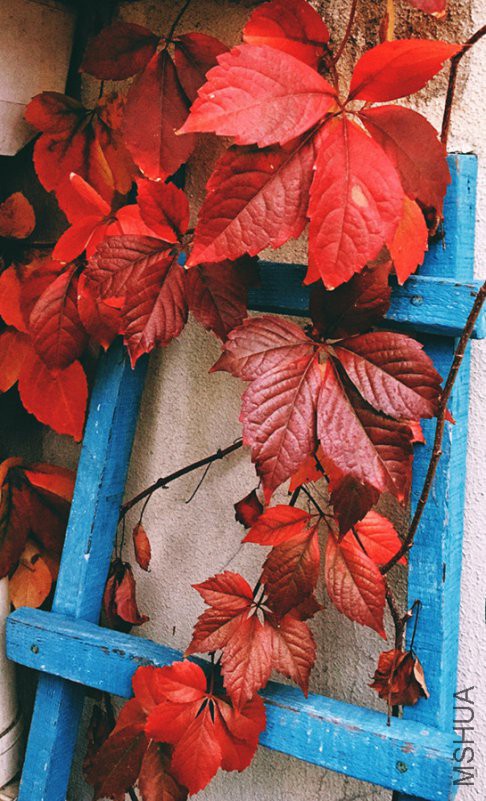 ΢��ͼƬ_20181107153754.jpg