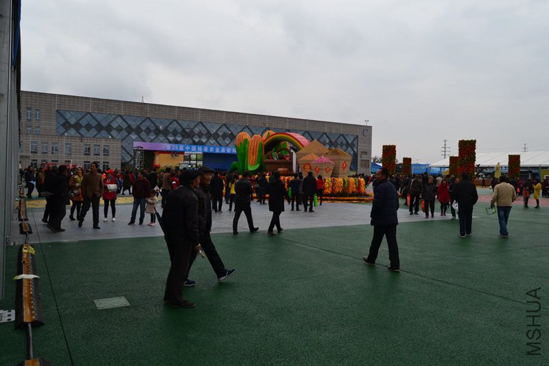 DSC_8180.jpg