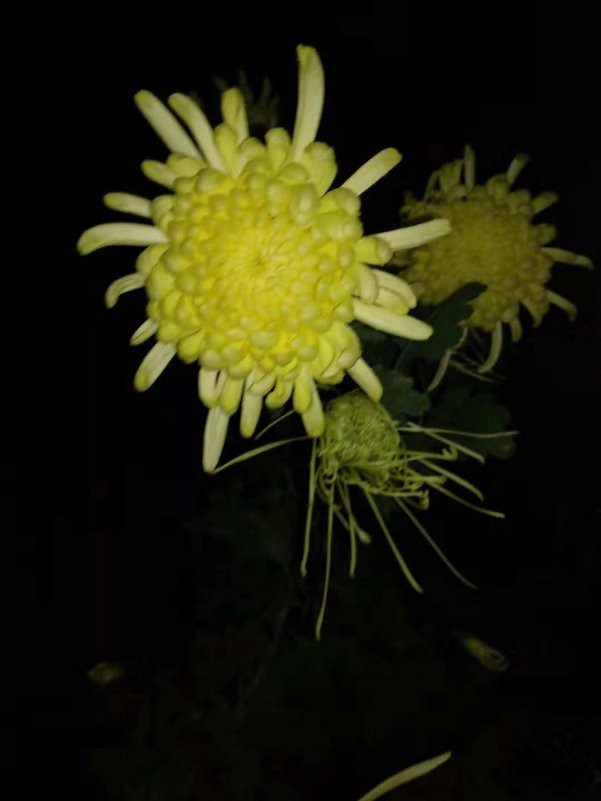 ΢��ͼƬ_20181110011445.jpg
