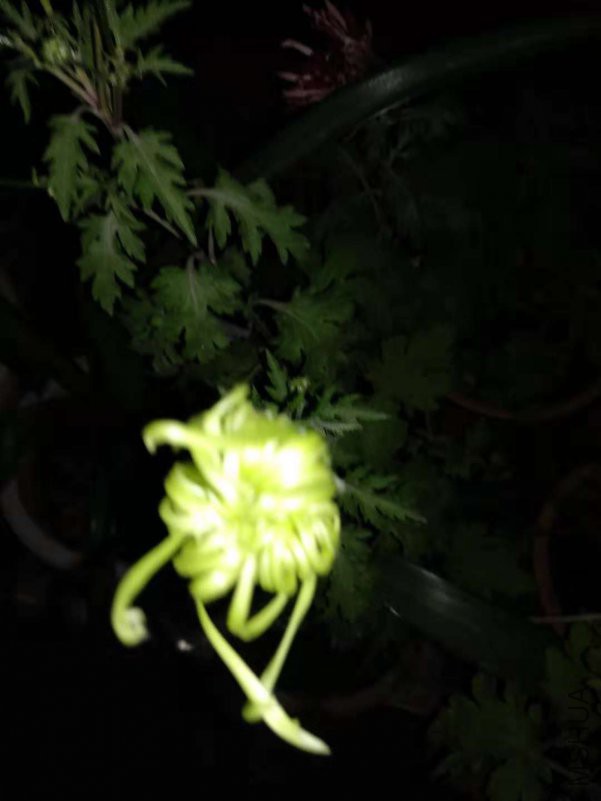 ΢��ͼƬ_20181110011505.jpg
