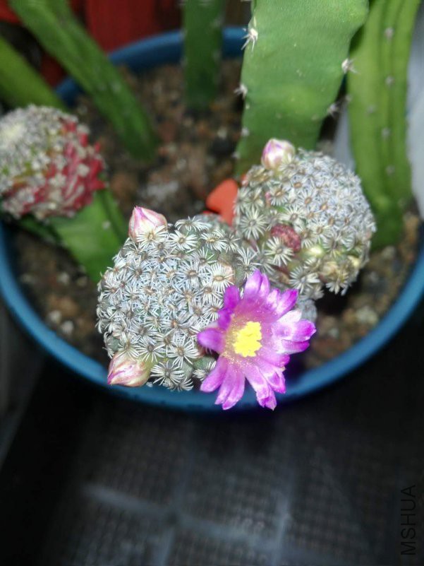 ΢��ͼƬ_201810260957115.jpg