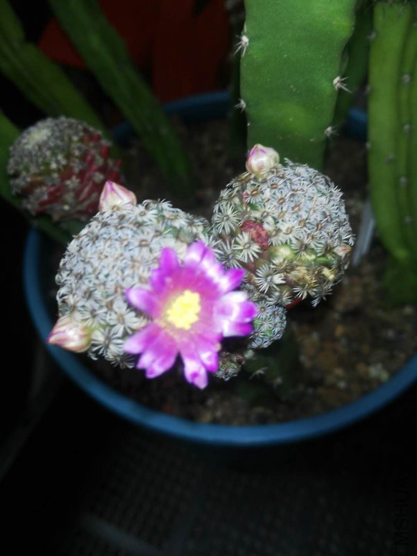 ΢��ͼƬ_201810260957116.jpg