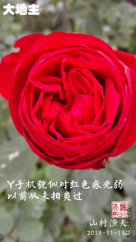 A01.jpg