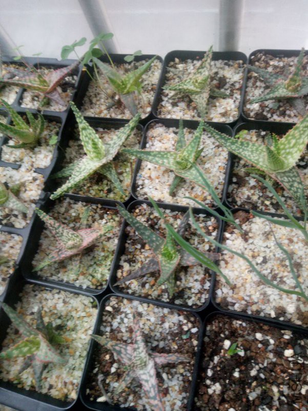 QQͼƬ20181117141231.jpg