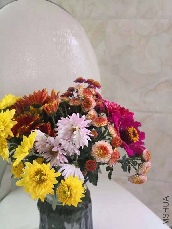 ΢��ͼƬ_20181118114826.jpg