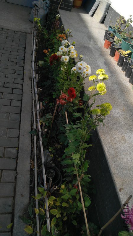 20181117_01.jpg