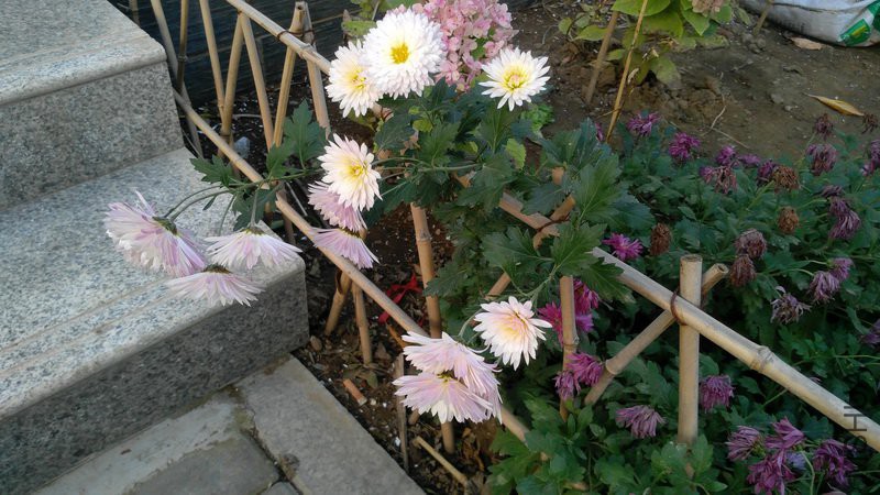20181117_13.jpg