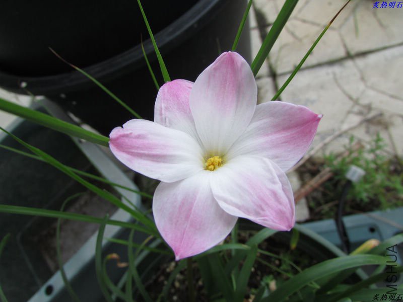 IMG_9052_nEO_IMG.jpg