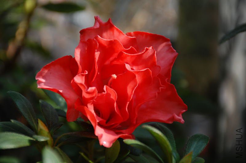 DSC_66620213.JPG