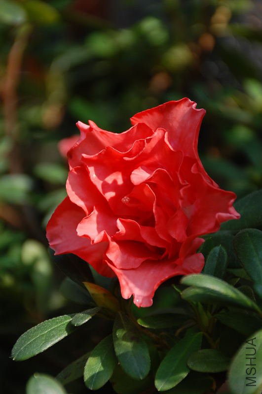 DSC_66670218.JPG