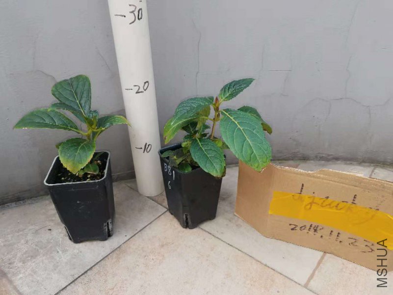 ΢��ͼƬ_20181123201119.jpg