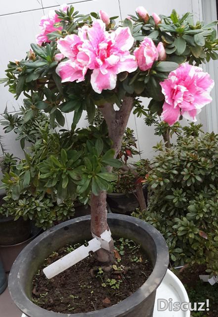 20181127_102119_����.jpg