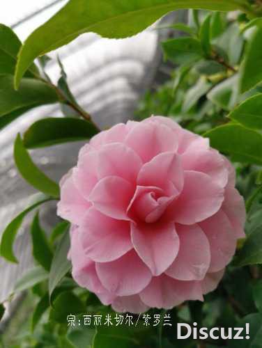 a1543307413987.jpg