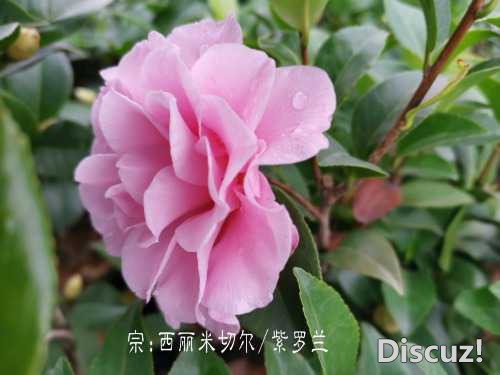 a1543307413686.jpg