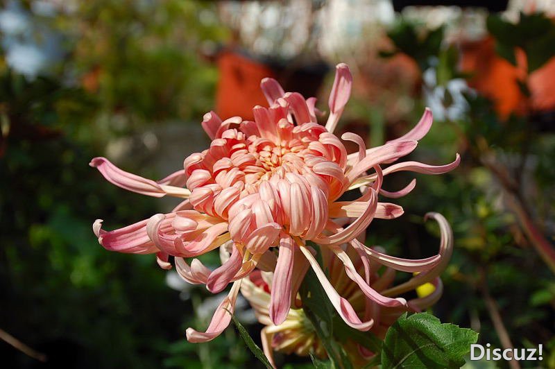 DSC_76700182.JPG