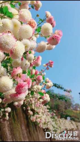 92FEA572-3608-4B0E-ABF1-9B41F85C4577.jpeg