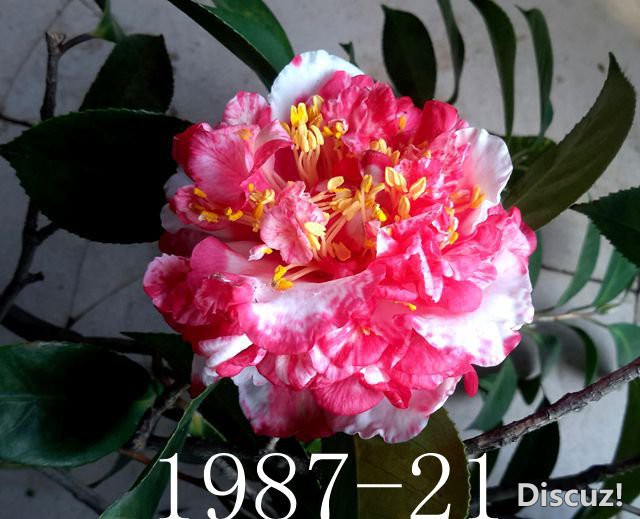 2018-11-29 18.23.55_����.jpg