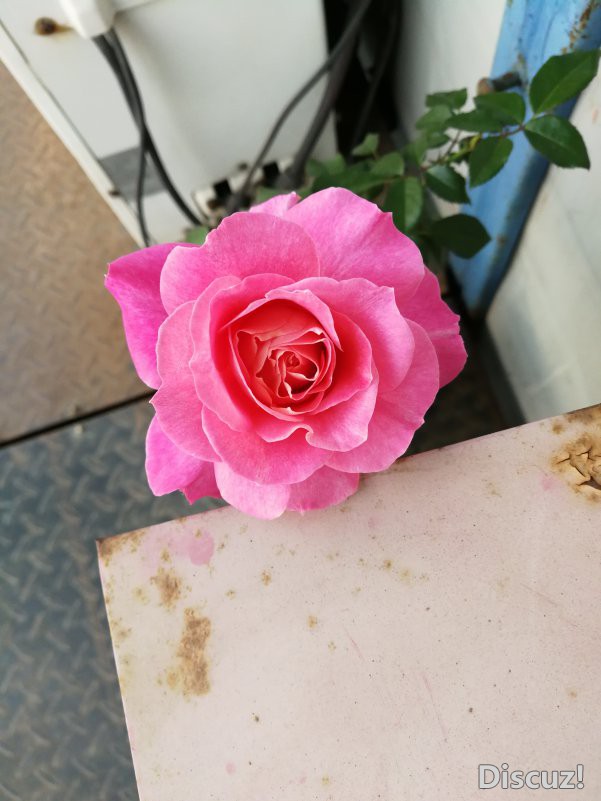 IMG_20181027_170328.jpg
