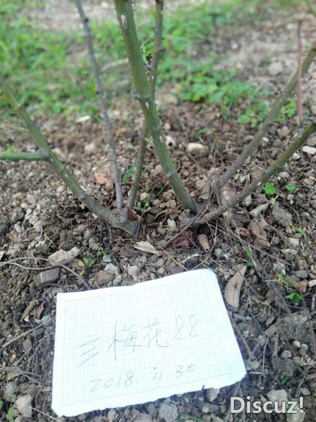 ΢��ͼƬ_20181202112553.jpg