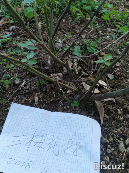 ΢��ͼƬ_20181202112602.jpg