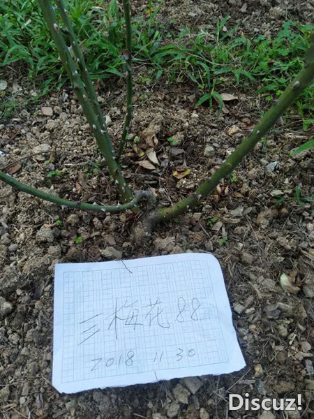 ΢��ͼƬ_20181202112544.jpg