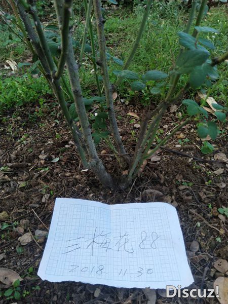 ΢��ͼƬ_20181202112637.jpg