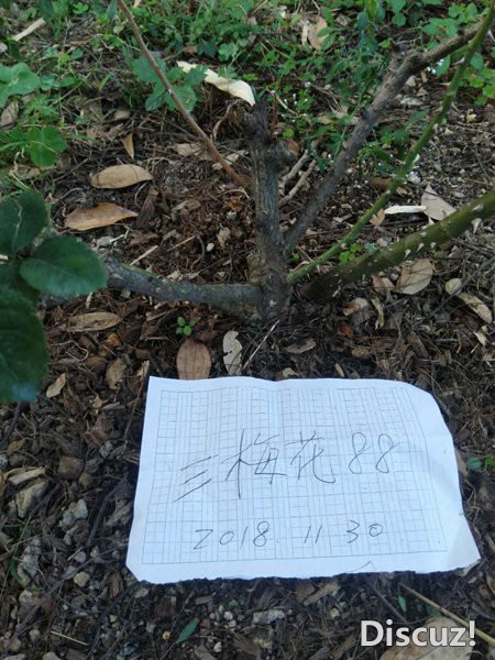 ΢��ͼƬ_20181202112626.jpg