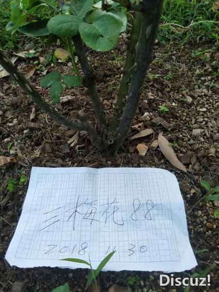 ΢��ͼƬ_20181202112631.jpg