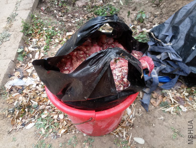 ΢��ͼƬ_20181202215642.jpg