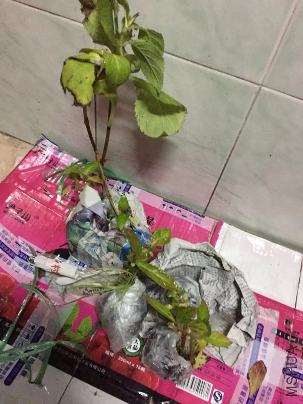 ΢��ͼƬ_20181203083938.jpg