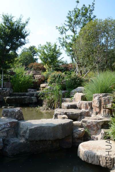 DSC_94070762.JPG