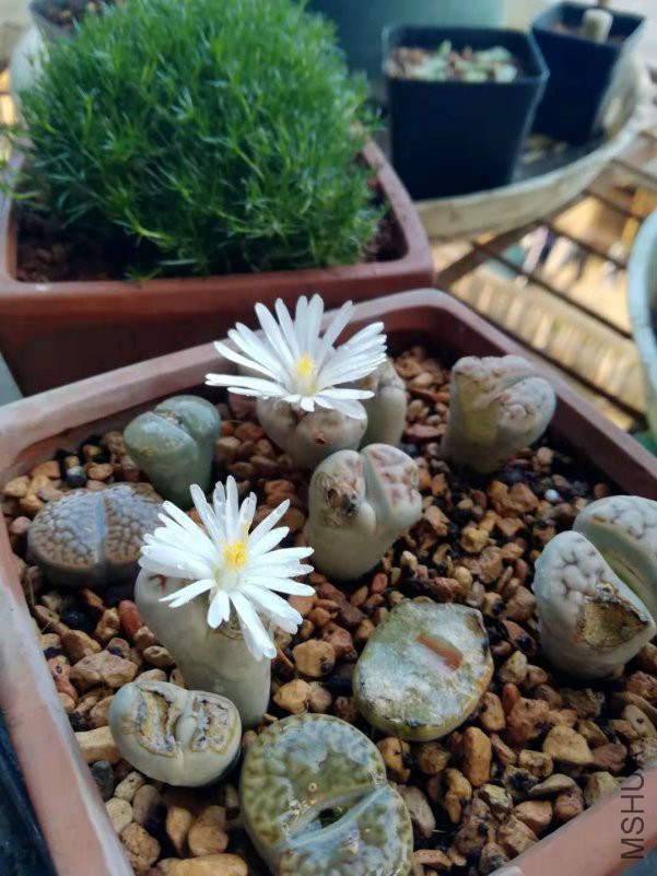 ΢��ͼƬ_20181207005109.jpg