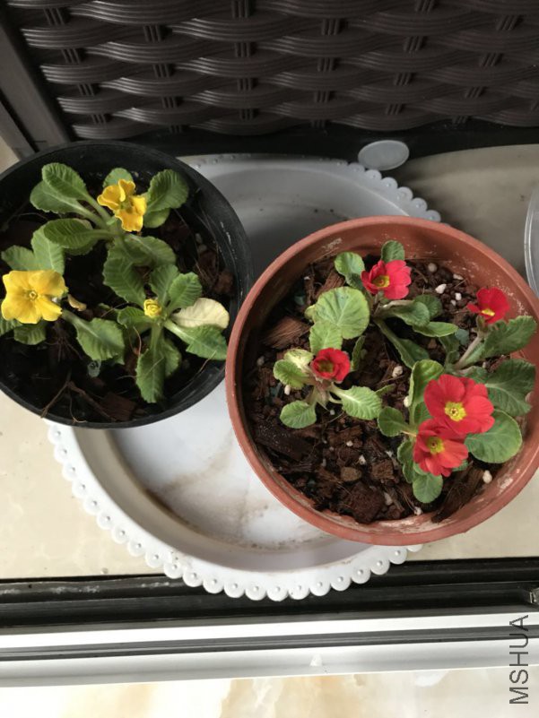 ΢��ͼƬ_201812062149183.jpg