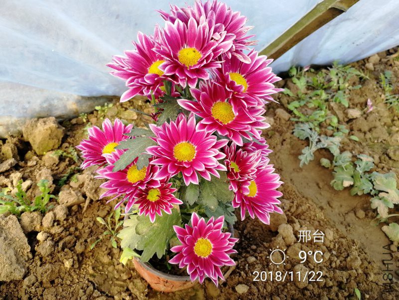 �ļ��� ����