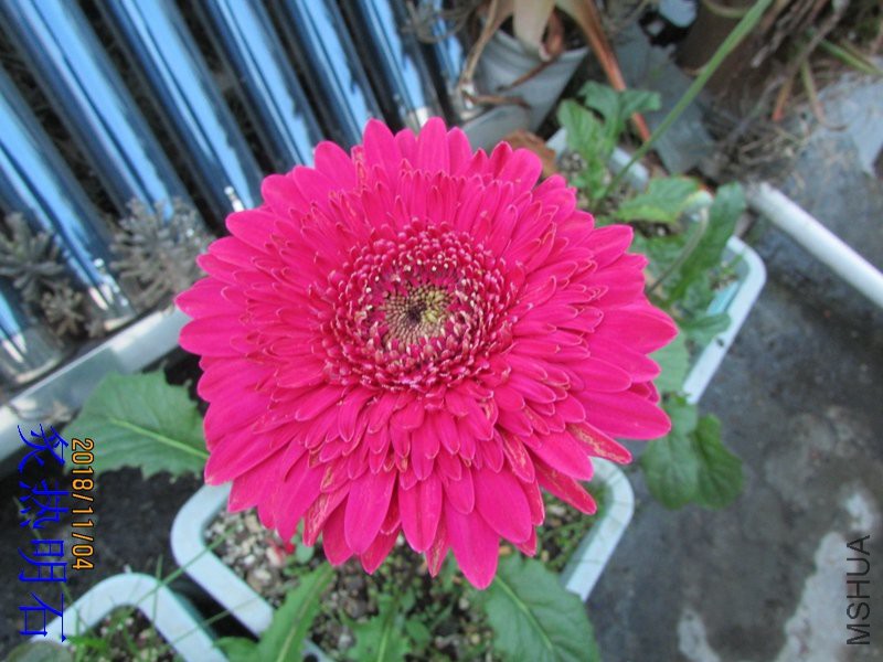 IMG_055305.jpg
