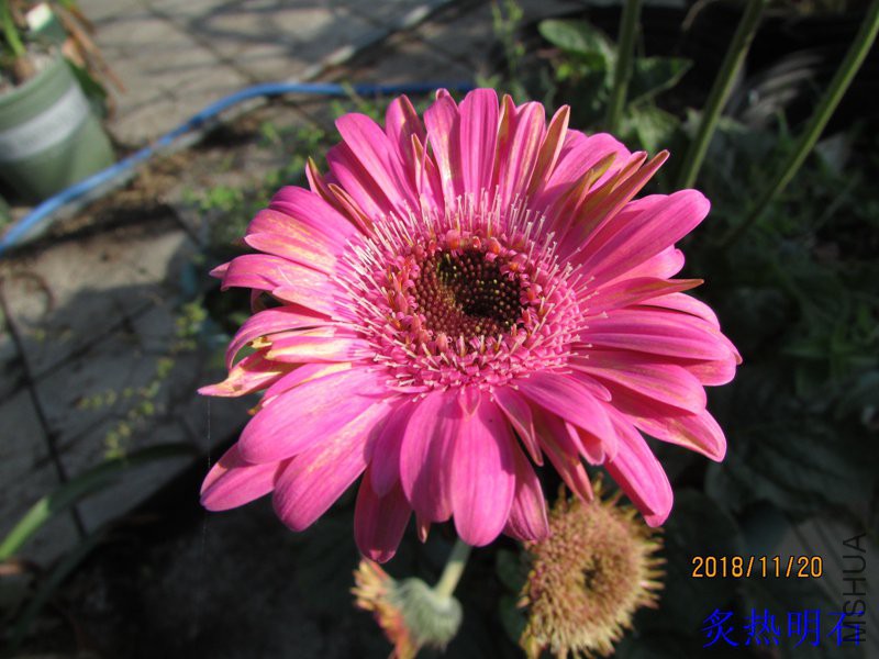 IMG_067317.jpg