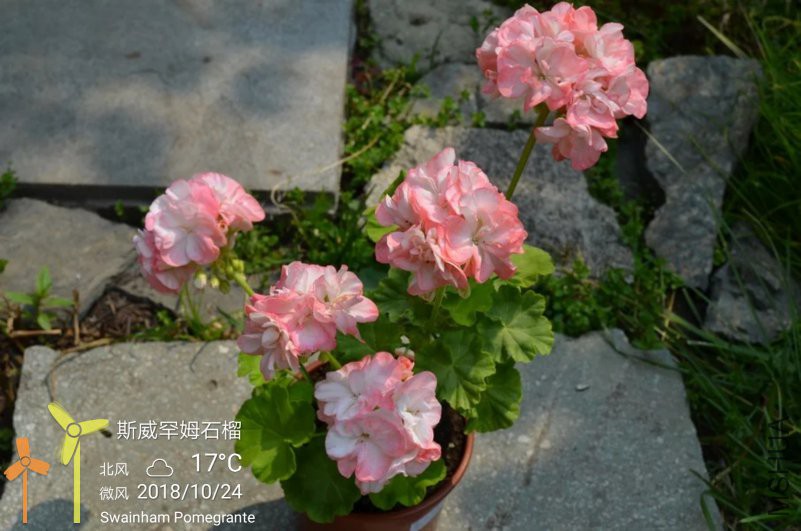 IMG_20181024_223805.jpg