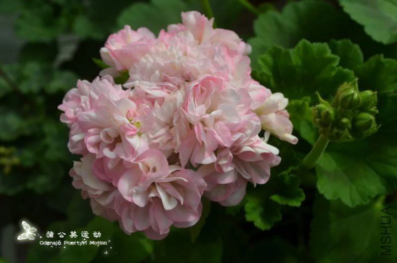 a1540374895086.jpg