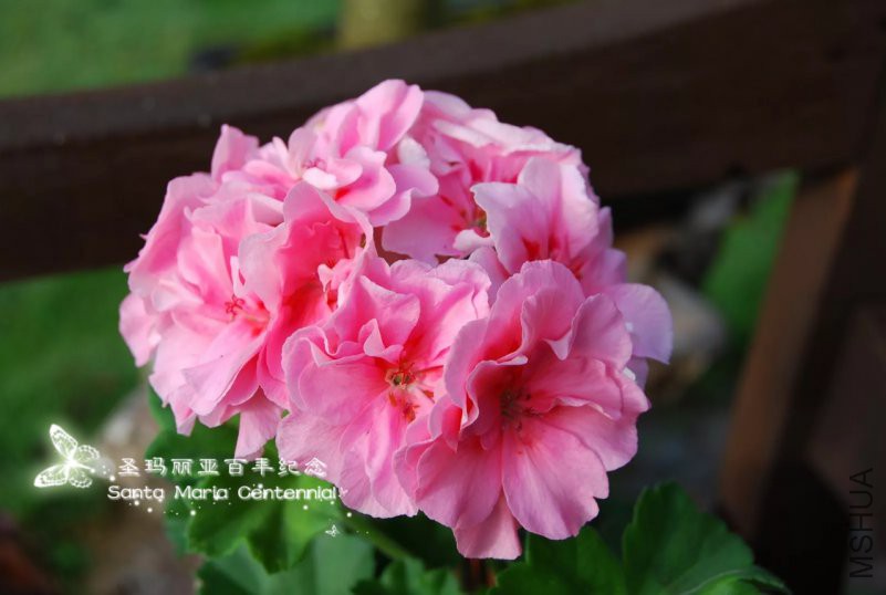 a1540313305587.jpg