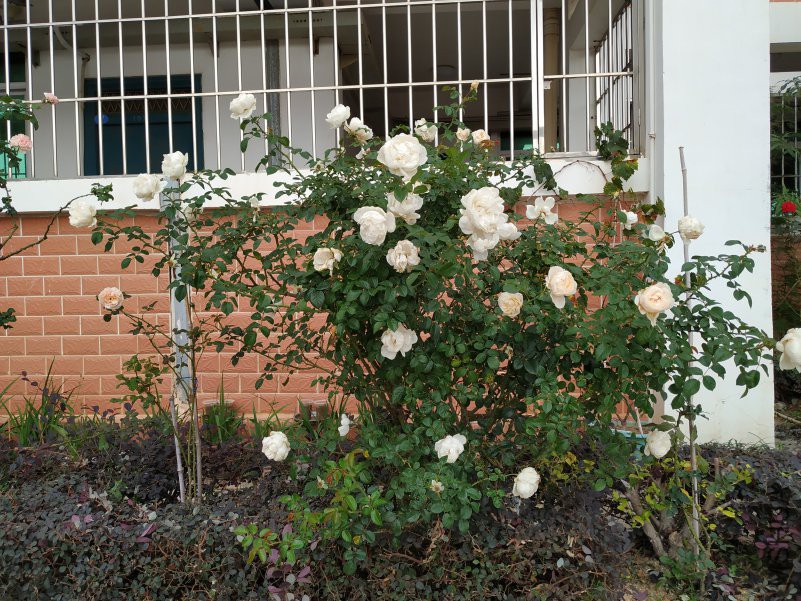 �����֪���ı��������