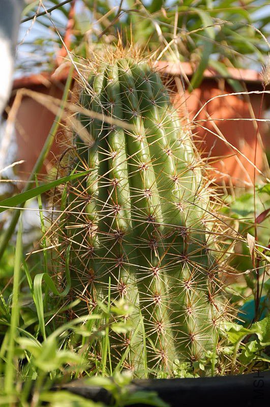 DSC_13110319.JPG