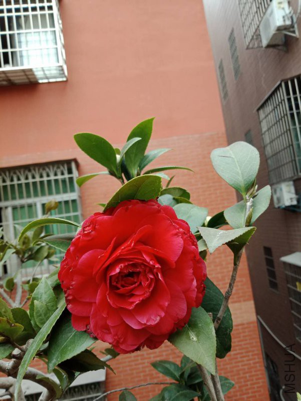 ���ݷ�