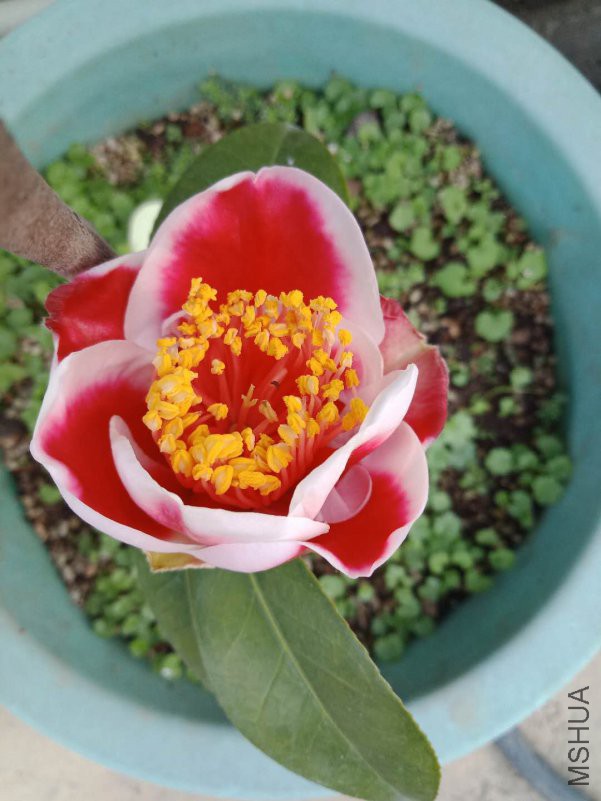 �������ó�������