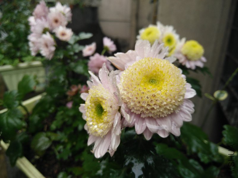 IMG20181222121105.jpg