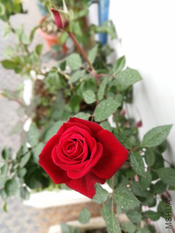 ΢��ͼƬ_20181224200030.jpg